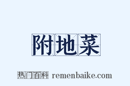 附地菜是什么意思的图片